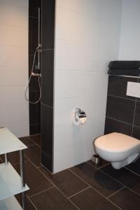 GangeltFerienwohnung Palmen的一间带卫生间和淋浴的浴室