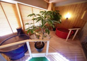 广岛多美迎广岛酒店的带浴缸和盆栽植物的浴室