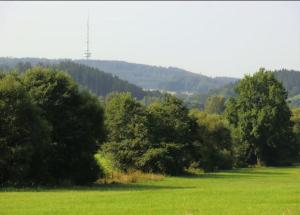 GönnernFerienwohnung Angelburg - Marburg Biedenkopf mit Balkon und Badewanne的一片绿草丛生,树丛背景