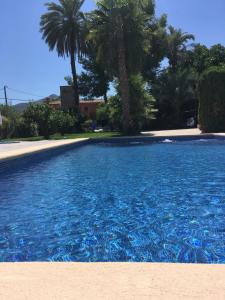 TormosCasa Alestelou的一个种有棕榈树的大型蓝色游泳池