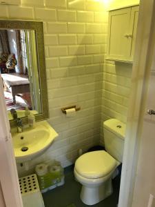 刘易斯Crabapple Cottage B&B的一间带卫生间、水槽和镜子的浴室