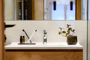 采尔马特EVA Serviced Apartments的浴室水槽,配有植物和镜子