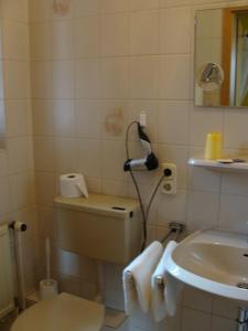 Bad Bodenteich祖姆阿尔腾里特餐厅酒店的一间带卫生间和水槽的浴室