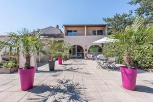 瓦隆蓬达克克洛斯布鲁耶雷斯酒店的种有棕榈树的庭院,大粉色盆
