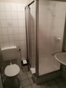 ApenZur Schanze Holtgast-Apen的浴室配有卫生间、淋浴和盥洗盆。