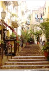 那不勒斯Chiaia House的植物繁茂的城市里一群楼梯