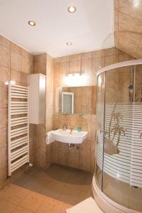 锡比乌Haus Paltinul的一间带水槽和淋浴的浴室