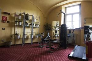 维科福尔泰波尔缇齐酒店的一间设有架子上盆栽的健身房的房间
