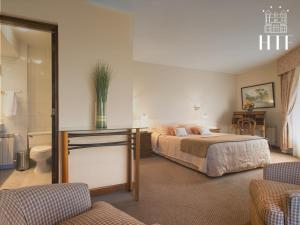 蓬塔阿雷纳斯迪拉德尔菲格酒店的一间酒店客房 - 带一张床和一间浴室