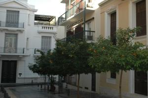 雅典奥米洛斯酒店的一座建筑前的橘子树