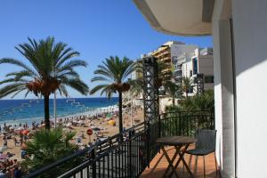 贝尼多姆森博宫公寓式酒店的享有棕榈树海滩和人种景致的阳台