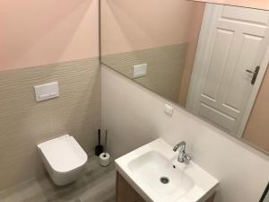 比得哥什维斯森霍弗法9号公寓的一间带水槽、卫生间和镜子的浴室