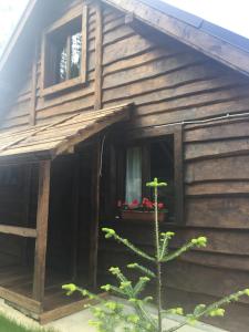 布克维Шале "Конопка"的小木屋设有窗户和花箱