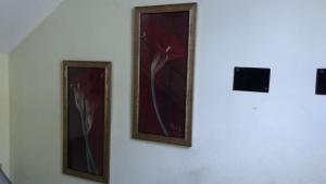 加尔各答布哈马尔纯素食酒店的墙上三幅鲜花画