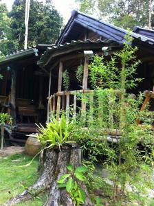库德岛Koh Kood Little Hut的前面有树桩的房子