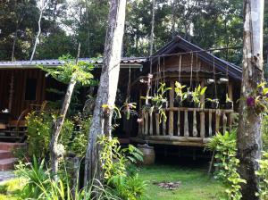 库德岛Koh Kood Little Hut的树林中的小屋