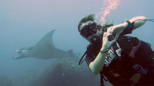 八丹拜完美浮潜巴厘岛潜水度假村的站在水面上,背着鲨鱼的人