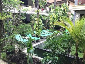 沙努尔尤利亚1号住宿加早餐旅馆的一个带椅子和树木的游泳池的度假酒店