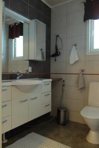 鲁卡Villa Saaruanniemi B的一间带水槽和卫生间的浴室