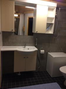 鲁卡Rukajärven Lomamajat Apartment 4的一间带水槽、卫生间和镜子的浴室