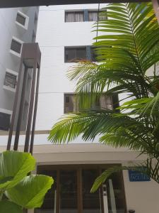 马塞约Rosa Branca Facilities Apartamentos的前面有棕榈树的建筑