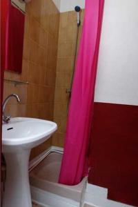 巴黎新桥酒店的一间带水槽和粉红色淋浴帘的浴室
