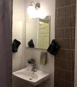 乌普萨拉万德乌普萨拉格酒店的一间带水槽和镜子的浴室