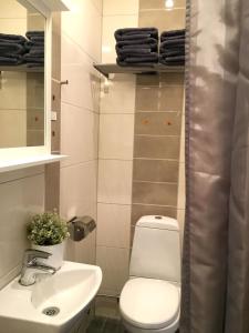 乌普萨拉宫桑斯托格酒店的浴室配有白色卫生间和盥洗盆。