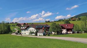 蒙德塞Erlachmühle的山丘上一排房子,有路