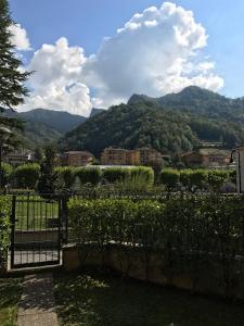 圣佩莱格里诺温泉Como Palace的山景门
