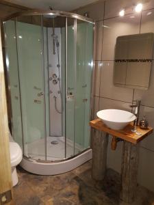 Cabaña Loft del Sur Premium的一间浴室