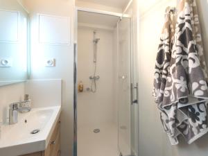阿维尼翁迷人阿维尼翁中心公寓的带淋浴和盥洗盆的浴室