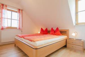 魏申费尔德Panorama Ferienwohnungen Thiem的一间卧室配有一张带红色枕头的床