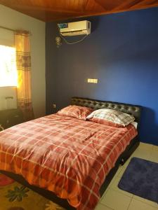 雅温得Appart meublés Yaounde的一间卧室配有一张蓝色墙壁的床