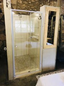 奥乔Sasa Safari Camp & Tours的一间房间里带玻璃门的淋浴