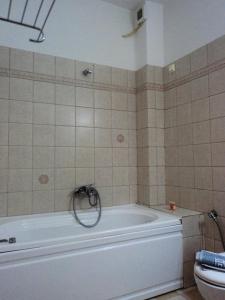 美特索文麦索福酒店的带浴缸和卫生间的浴室。