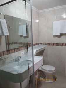比亚维森西奥Hotel el Caimito的一间带水槽、卫生间和淋浴的浴室