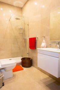 斯利马Maltese Town House Sliema的带淋浴、卫生间和盥洗盆的浴室