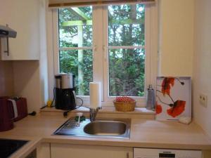 AusackerFerienwohnung Doelling的带水槽的厨房台面和窗户