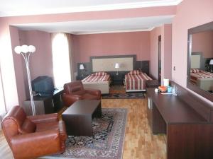 索非亚康瑟尔酒店的带沙发椅的客厅和客厅。