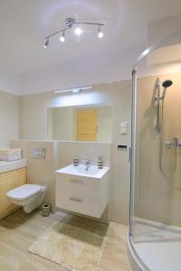 什切青Apartament Esja的带淋浴、盥洗盆和卫生间的浴室