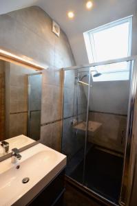 萨尔特-雷斯温泉Le Duplex de la Raveline的带淋浴和盥洗盆的浴室