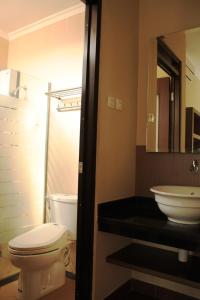 卡里乌昂亭豪斯度假屋的一间带卫生间和水槽的浴室