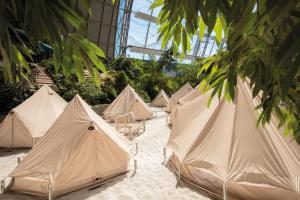 克劳斯尼克热带岛屿度假酒店的树屋中的一组帐篷