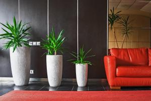 马热伊基艾帕尔马酒店的一间红色沙发的房间,有三株盆栽植物