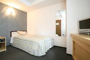 长野长野广场酒店的配有一张床和一台平面电视的酒店客房
