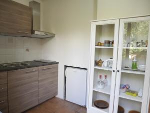 卡斯蒂利翁切洛Monolocale in villa的厨房配有木制橱柜和白色冰箱。