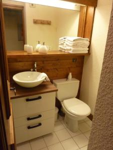 孔布卢Rez de chaussée très calme vue Mont-Blanc的一间带水槽、卫生间和镜子的浴室