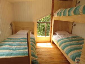 Quilda Hostel客房内的一张或多张双层床
