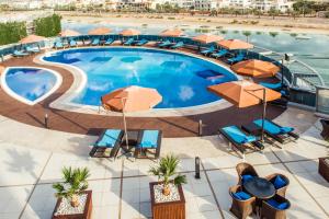 阿布扎比宜必思阿布扎比门酒店的享有带椅子和遮阳伞的游泳池的上方景致